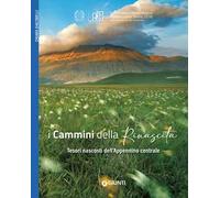 I Cammini della rinascita. Tesori nascosti dell'Appennino centrale