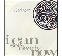 I can see clearly now (1990) / Vinyl Maxi Single [Vinyl 12'']