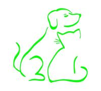 I cani sono i migliori amici dell'uomo, ma il migliore amico di un cane potrebbe essere un gatto Adesivo in vinile Adesivo for auto Adesivo for moto(Green,30X30CM)