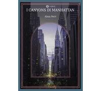 I canyons di Manhattan