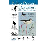 I cavalieri della grande laguna