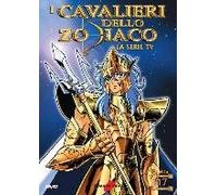 I Cavalieri Zodiaco 17