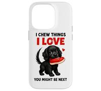 I Chew Things I Love You Might Be Next Bavaglio Custodia per iPhone 14 Pro