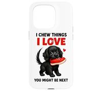 I Chew Things I Love You potrebbe essere il prossimo Custodia per iPhone 15 Pro