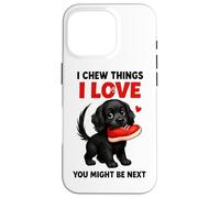 I Chew Things I Love You potrebbe essere il prossimo Custodia per iPhone 16 Pro