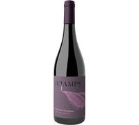 I Cjamps Cabernet Sauvignon Trevenezie IGT