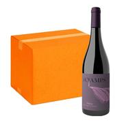 I Cjamps Merlot Trevenezie IGT (6 Bottiglie)