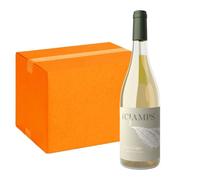 I Cjamps Pinot Grigio Trevenzie IGT (6 Bottiglie)