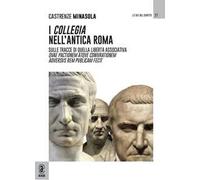 I collegia nell'antica Roma. Sulle tracce di quella libertà associativa quae pactionem atque coniurationem aduersus rem publicam fecit