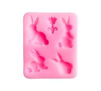 I conigli modellano il silicone animale della colata del cioccolato che fa il silicone di forma dei conigli della resina epossidica