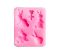 I conigli modellano le muffe che colano il silicone animale del cioccolato che fa resina epossidica