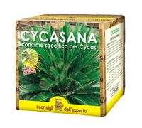 I Consigli dell’Esperto Cycasana 0.75kg Concime specifico per Cycas e Piante