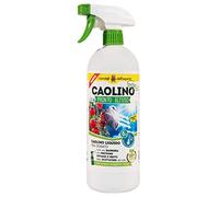 I Consigli dell'Esperto Caolino Pronto Uso, 1 kg