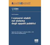 I consorzi stabili nel sistema degli appalti pubblici