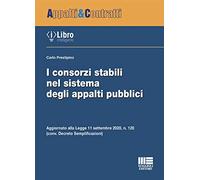 I consorzi stabili nel sistema degli appalti pubblici