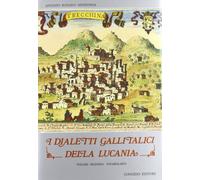 I dialetti gallitalici della Lucania. Vocabolario (Vol. 2)