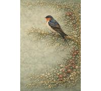 I Diari della Rondine: Il Diario della Rondine - Volume 2: Stelle interiori