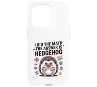 I Did The Math La risposta è divertente Hedgehog Custodia per iPhone 15 Pro