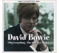 I Dig Everything:1966 Pye Sing