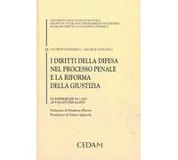 I diritti della difesa nel processo penale e la riforma della giustizia. Le esperienze di 1.265 avvocati penalisti