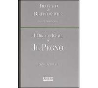 I diritti reali. Vol. 5: Il pegno