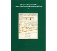 - I disegni degli ingegneri della Camera di Soprintendenza Comunitativa di Pisa