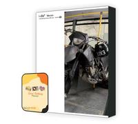 i-dle Album - for (G) Version C ver.+Pre Order Benefits+BolsVos Exclusive K-POP Giveaways Package