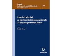 I domini collettivi: un patrimonio intergenerazionale tra passato, presente e futuro