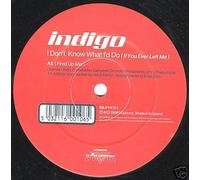 I Don't Know What I'd Do (If You Ever Left Me) [12" VINYL]