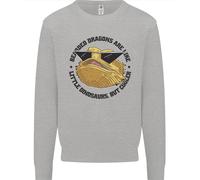 I Draghi Barbati Sono Come Piccoli Dinosauri Felpa Per Bambini