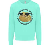 I Draghi Barbati Sono Come Piccoli Dinosauri Felpa Per Bambini