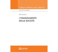 I finanziamenti di società
