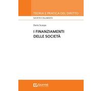 I finanziamenti di società