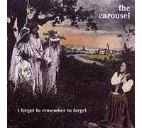 I Forgot to Remember to Forget [VINYL]