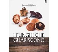 I funghi che guariscono