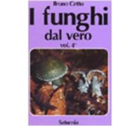I funghi dal vero (Vol. 4)
