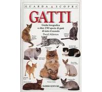 I gatti