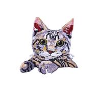 I gatti alla moda ricamano gli abiti fatti a mano unici per il tessuto di personalizzazione