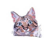 I gatti alla moda ricamano gli abiti fatti a mano unici per il tessuto di personalizzazione