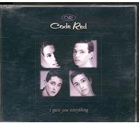 I Gave You Everything