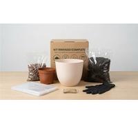 I GIARDINI DI GIULIA - Kit Rinvaso completo per Piante da Interno con Coprivaso Design 15cm, Terriccio, Concime e Guanti - Facile da Usare (Vaso avorio)