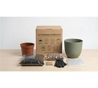 I GIARDINI DI GIULIA - Kit Rinvaso completo per Piante da Interno con Coprivaso Design 15cm, Terriccio, Concime e Guanti - Facile da Usare (Vaso verde rosmarino)