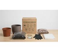 I GIARDINI DI GIULIA - Kit Rinvaso Completo per Piante Verdi da Interno 7 Accessori con Coprivaso Design 20cm Facile per Principianti (Vaso tortora)