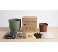 I GIARDINI DI GIULIA - Kit Rinvaso Completo per Piante Verdi da Interno 7 Accessori con Coprivaso Design 20cm Facile per Principianti (Vaso verde rosmarino)