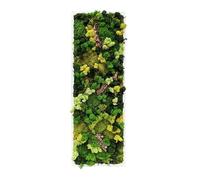 I GIARDINI DI GIULIA - Quadro Rettangolare con Cornice Bianca e Inserti in Sughero Naturale - Muschio Stabilizzato Montabile Verticalmente e Orizzontalmente, Casa e Ufficio. (1)