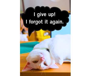 I give up! I forgot it again: Funny Cat Password Logbook with Alphabetical A-Z Tabs, Keeper and Organizer Important DATA, You never miss ot again!, Great gift idea for funny