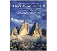 I grandi spazi delle Alpi. Ediz. illustrata. Dolomiti orientali, Alpi Carniche e Giulie Tauri (Vol. 8)