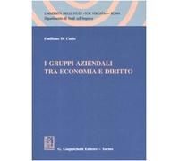 I gruppi aziendali tra economia e diritto