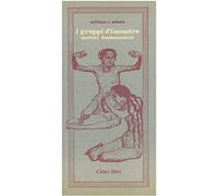 I gruppi di incontro. Nozioni fondamentali