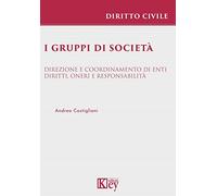 I gruppi di società. Direzione e coordinamento di enti. Diritti, oneri e responsabilità